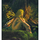 Illustration for article titled Girl Faeries